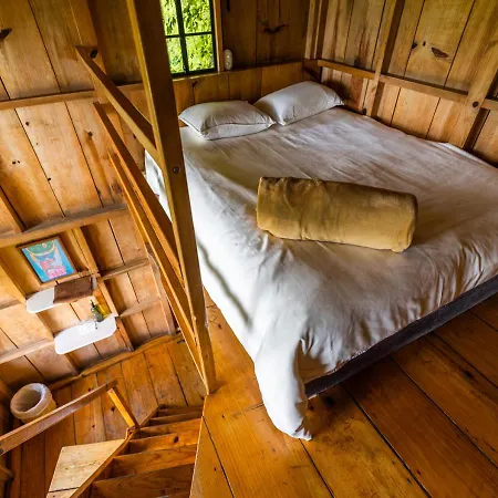 Earth Lodge Antigua Exterior photo