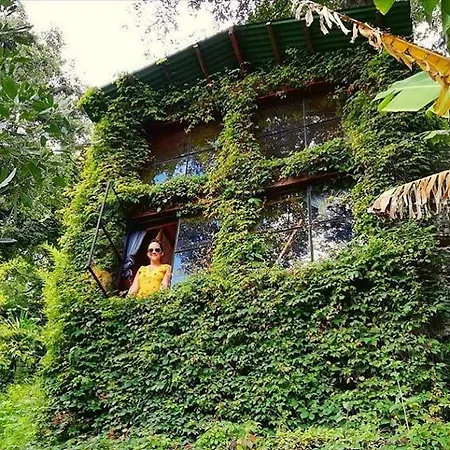 Earth Lodge Antigua Exterior photo