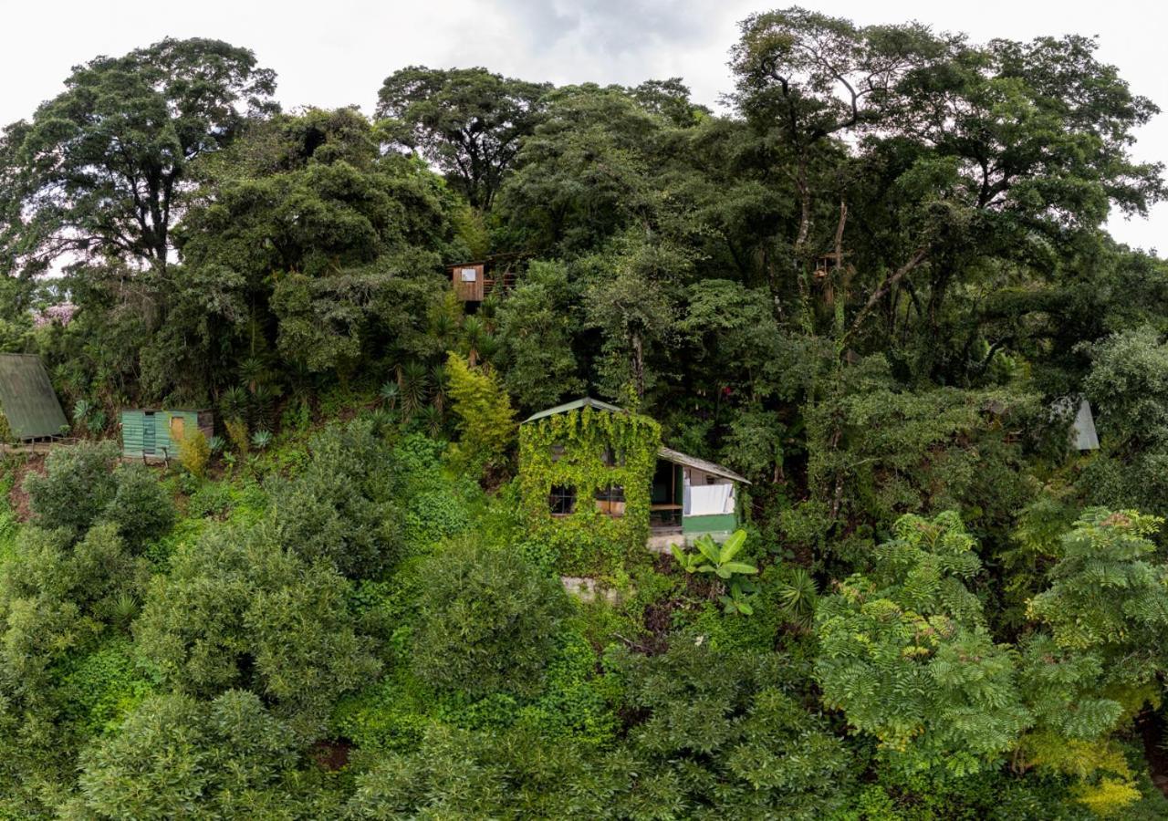 Earth 2* Antigua