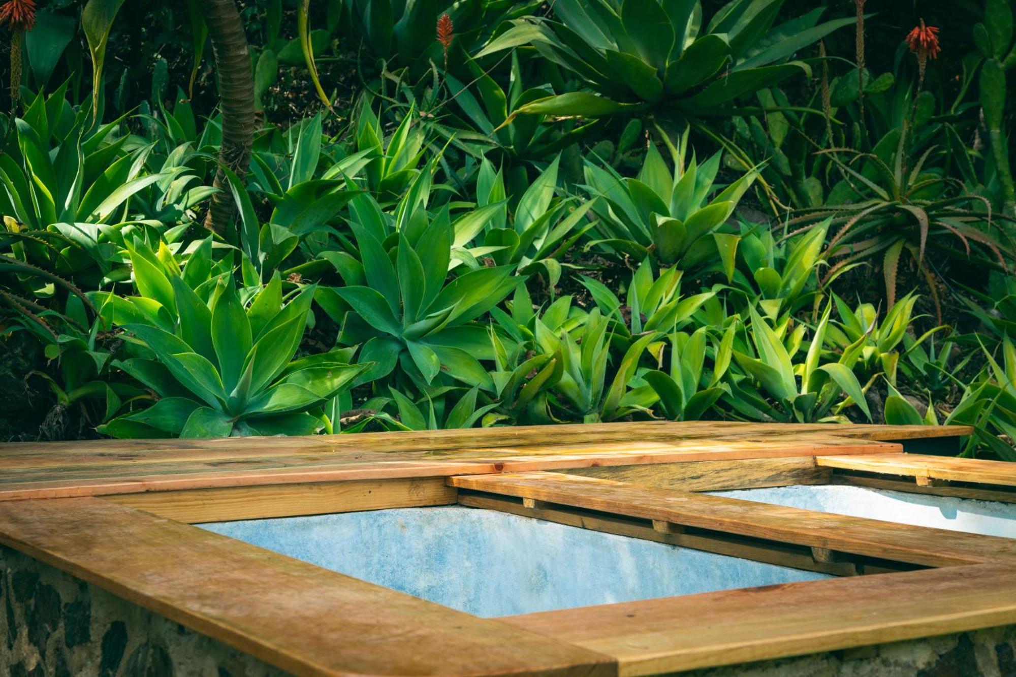 Earth Hotel Antigua