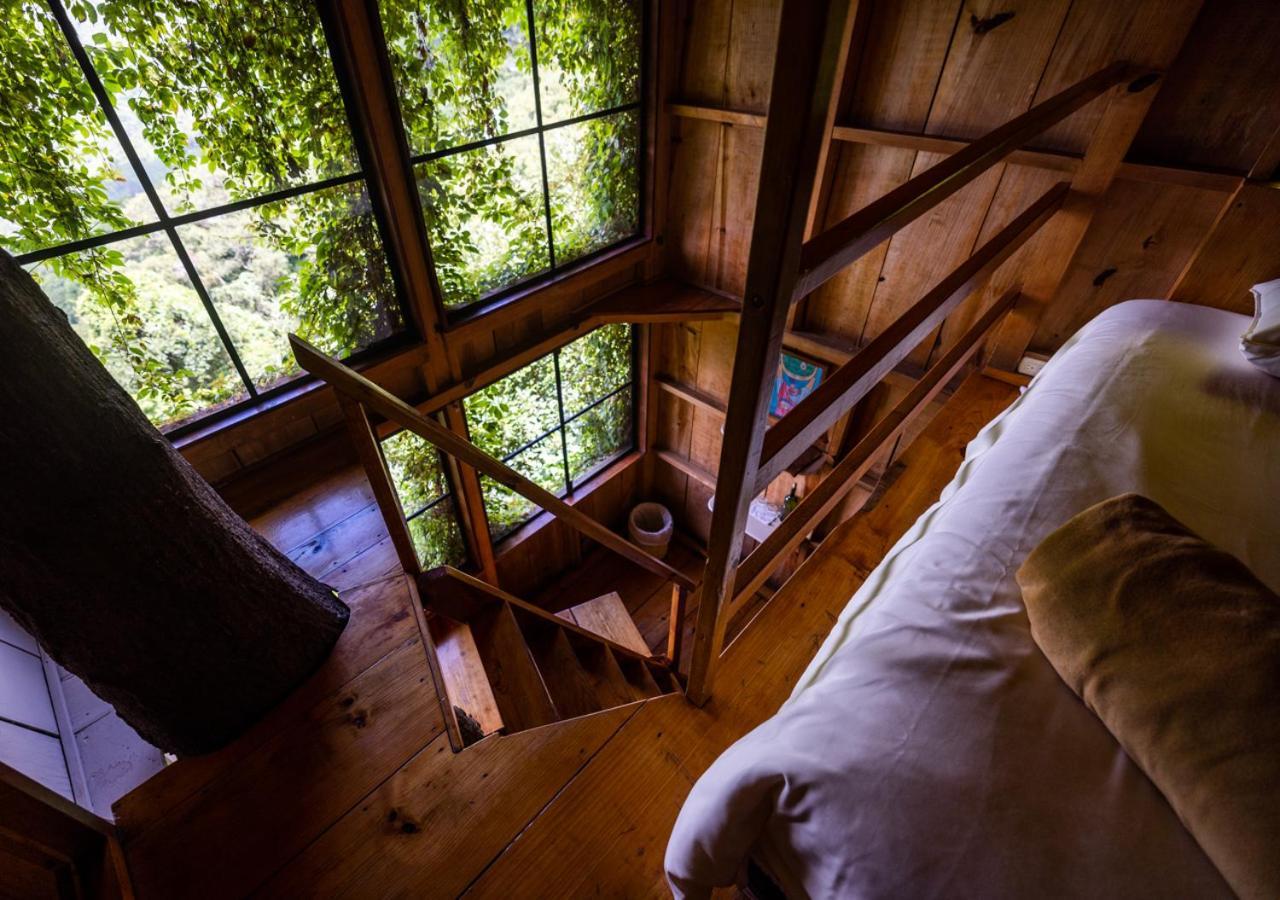 Hotel Earth